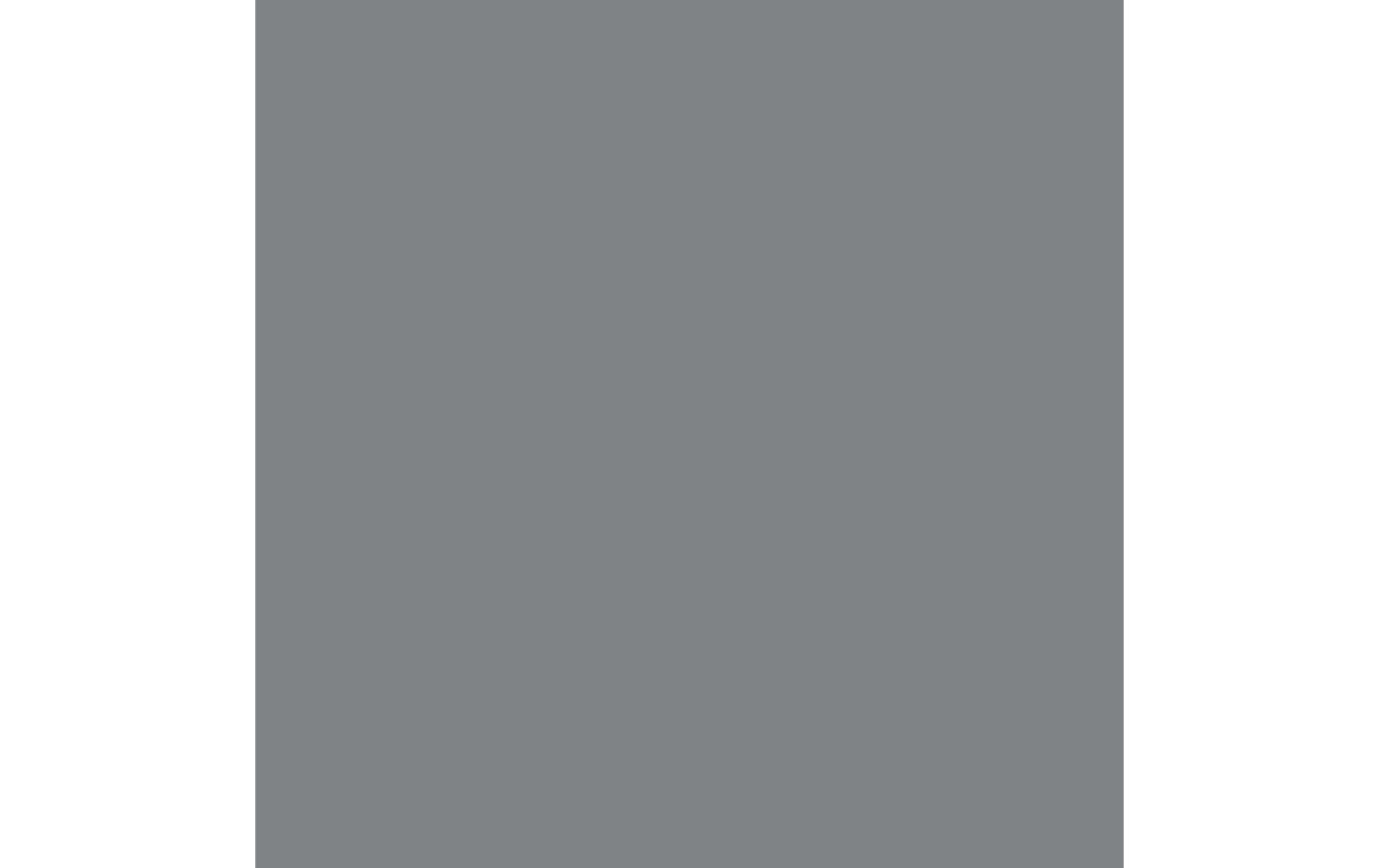 Royal Talens Amsterdam – Acrylic Standard – Acrylfarbe – Neutralgrau, 500 ml