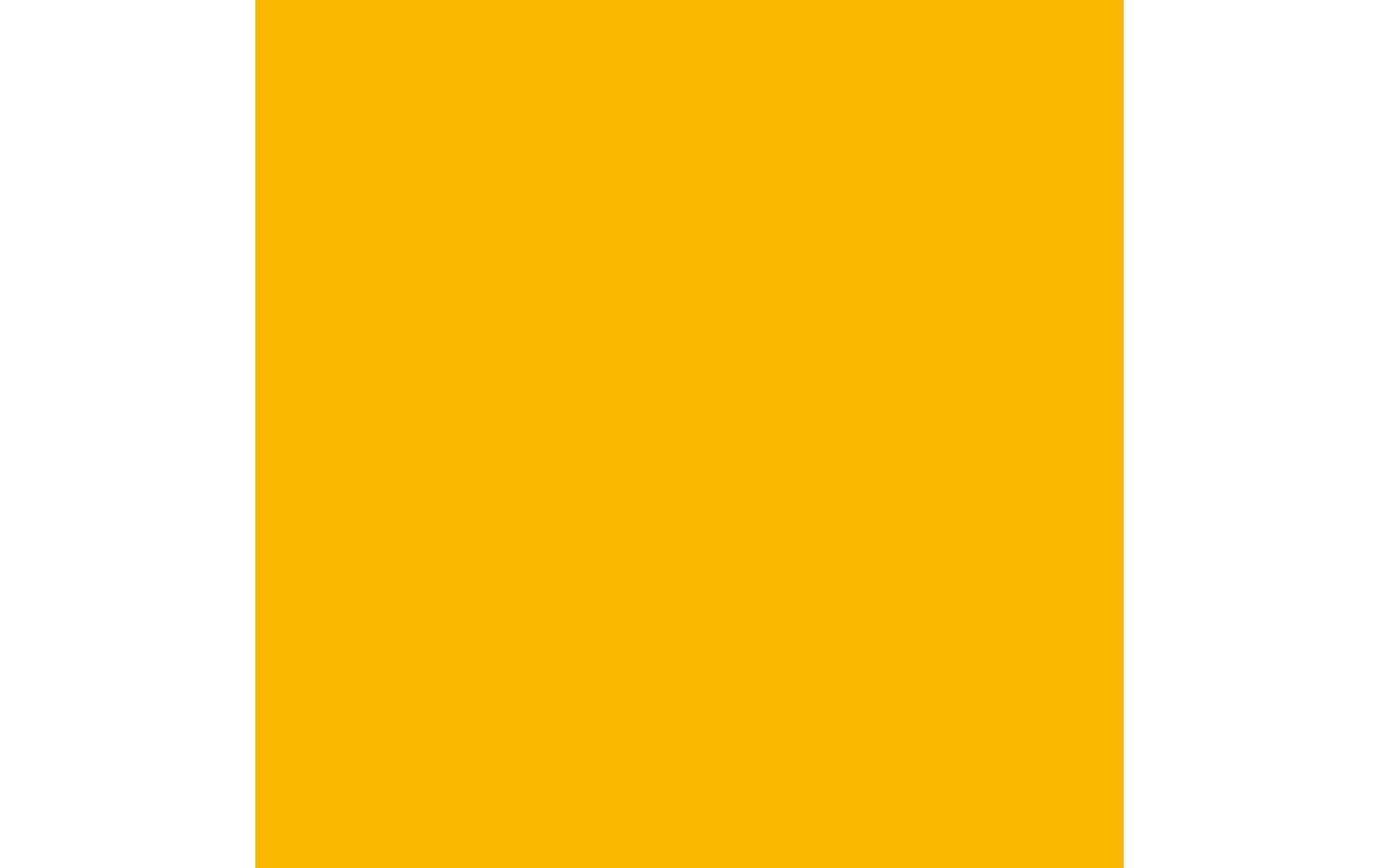 Royal Talens Amsterdam – Acrylic Standard – Acrylfarbe – Reflexorange, 120 ml