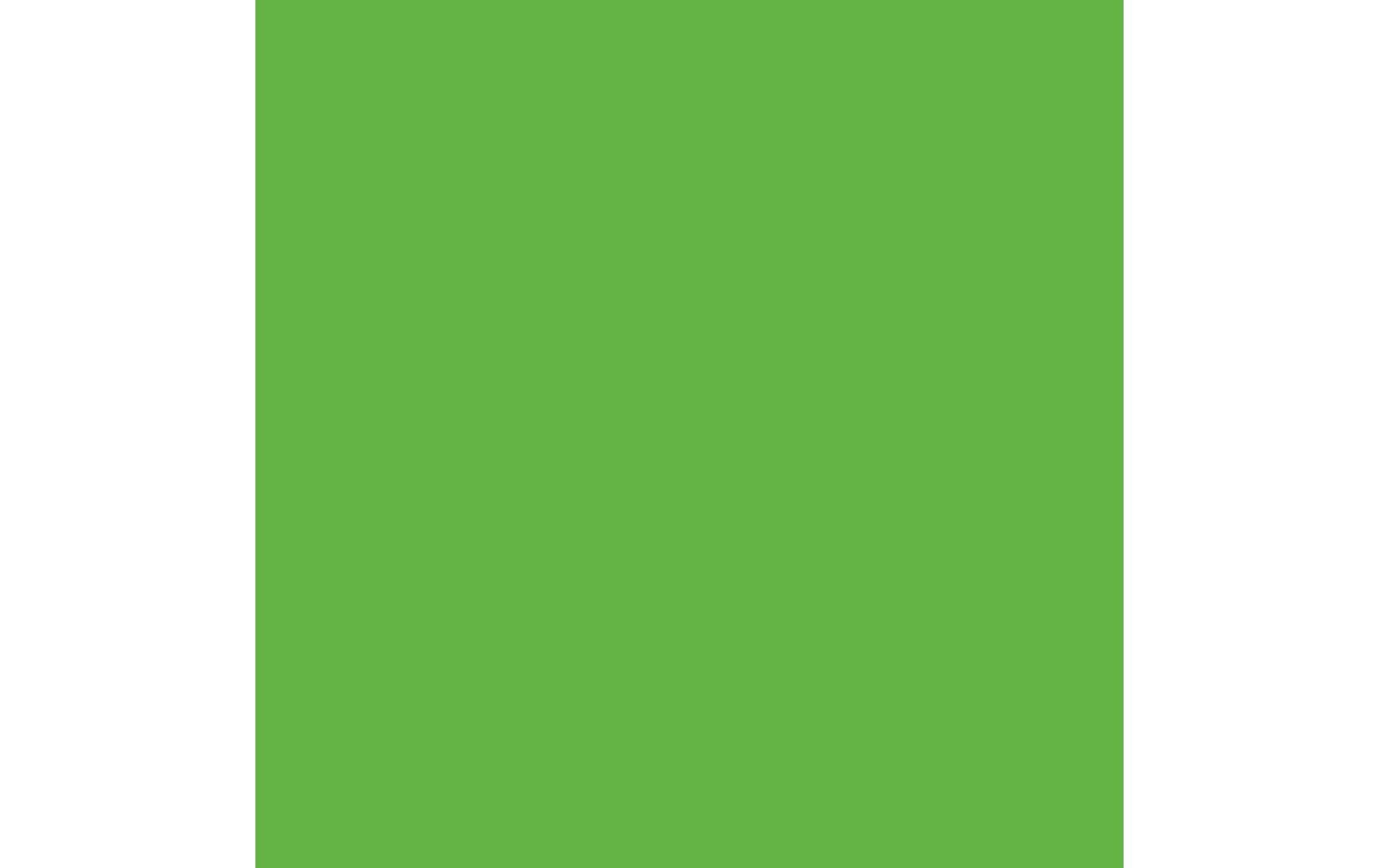 Royal Talens Amsterdam – Acrylic Standard – Acrylfarbe – Reflexgrün, 120 ml