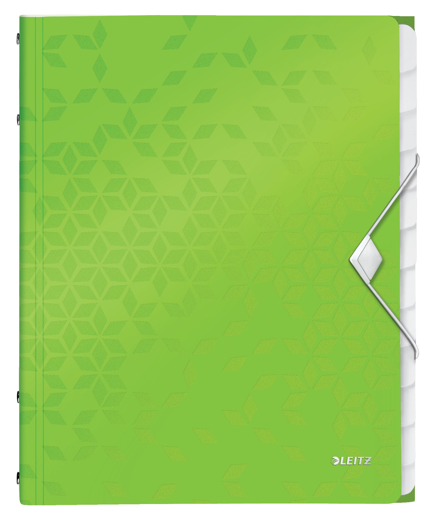 Leitz Fächermappe A4 – 12 Fächer, Gummiband, Polypropylen (PP), Grün, 3 Klappen, bis 200 Blatt
