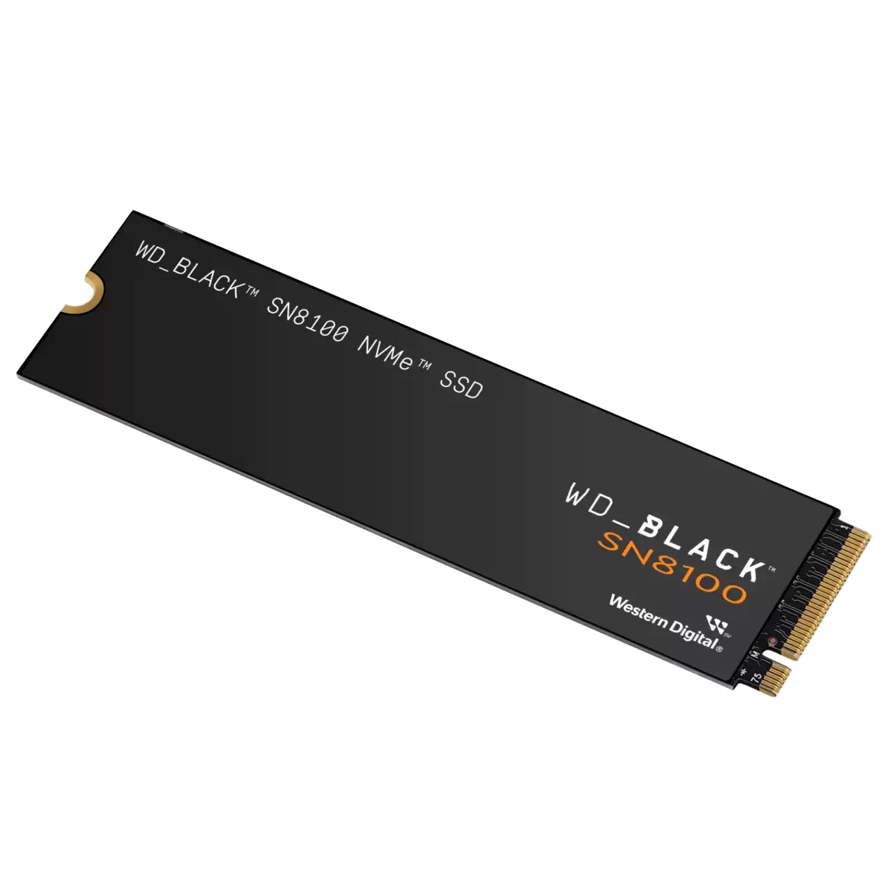 Western Digital Express 5.0 NVMe TLC 3D NAND Standard – 1 TB