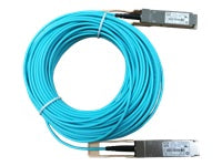 HPE QSFP28 zu QSFP28 DAC-Kabel – 100G, aktiv, 20 m