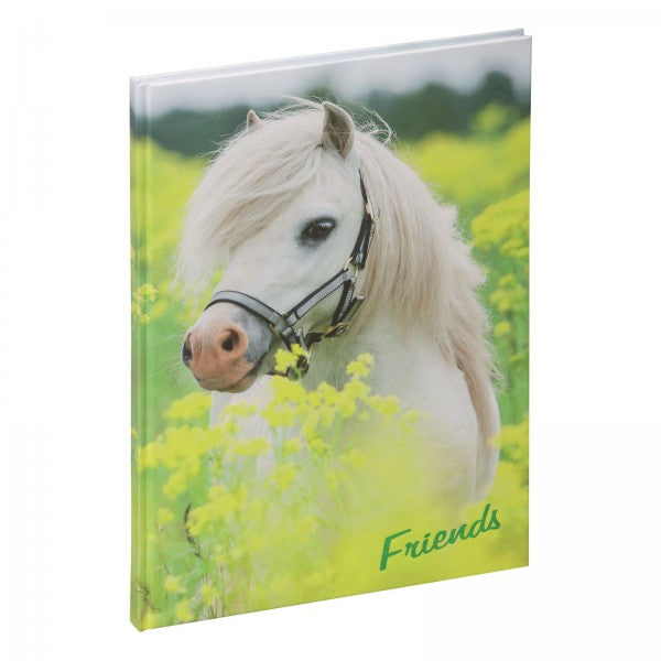 Pagna Kleines Pony Freundebuch – 150 × 220 mm – 60 Seiten – Deutsch, gebunden, laminierter Papiereinband
