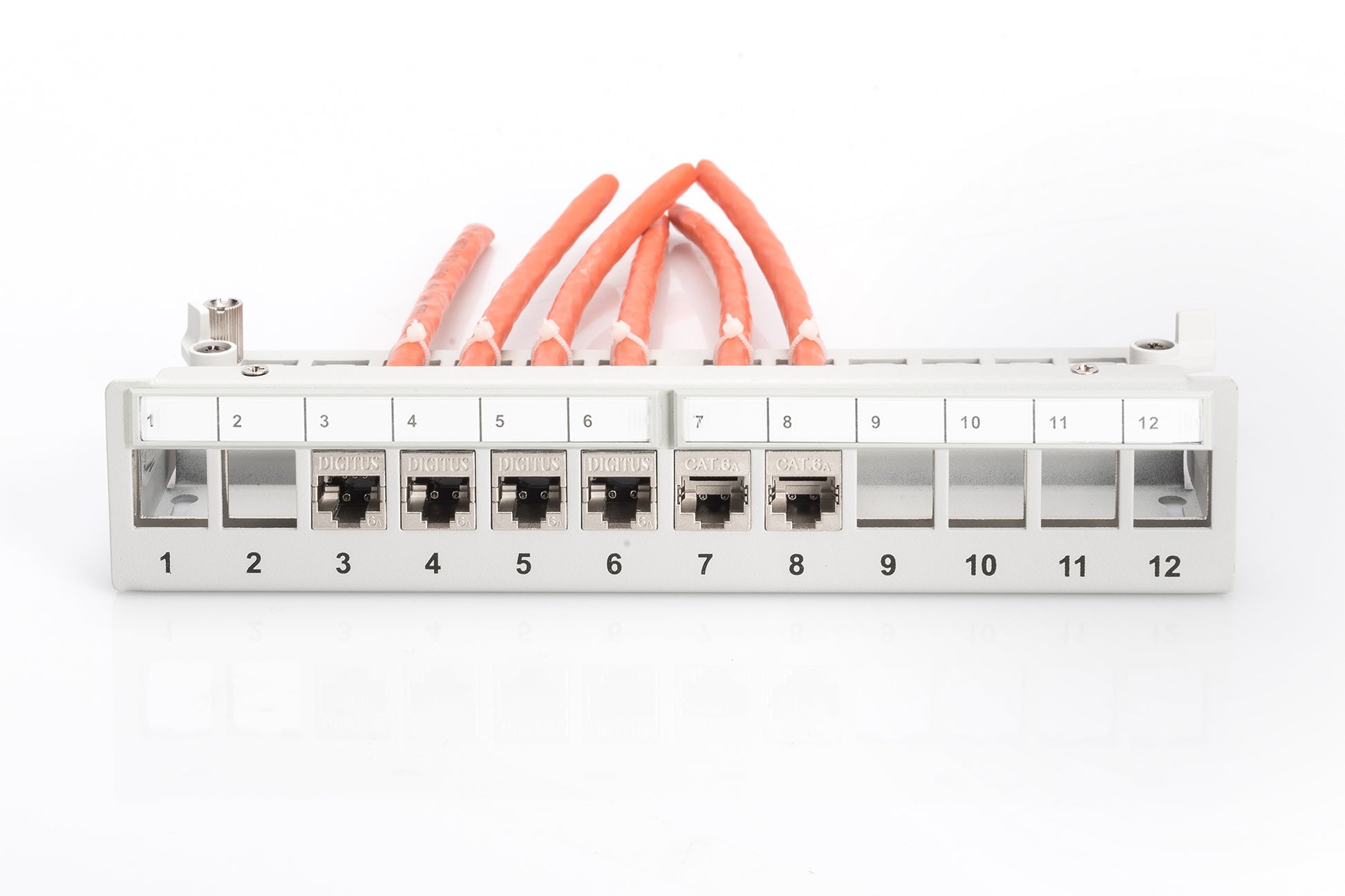 Digitus Modulares Patchpanel – 12× RJ-45, geschirmt, 19", 1U, Grau