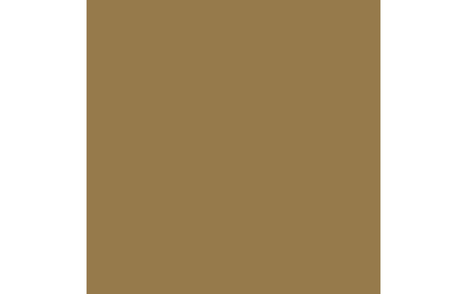 Cricut Glänzende Vinylfolie – Gold – 13,9 × 121,9 cm – für Cricut Joy Schneideplotter