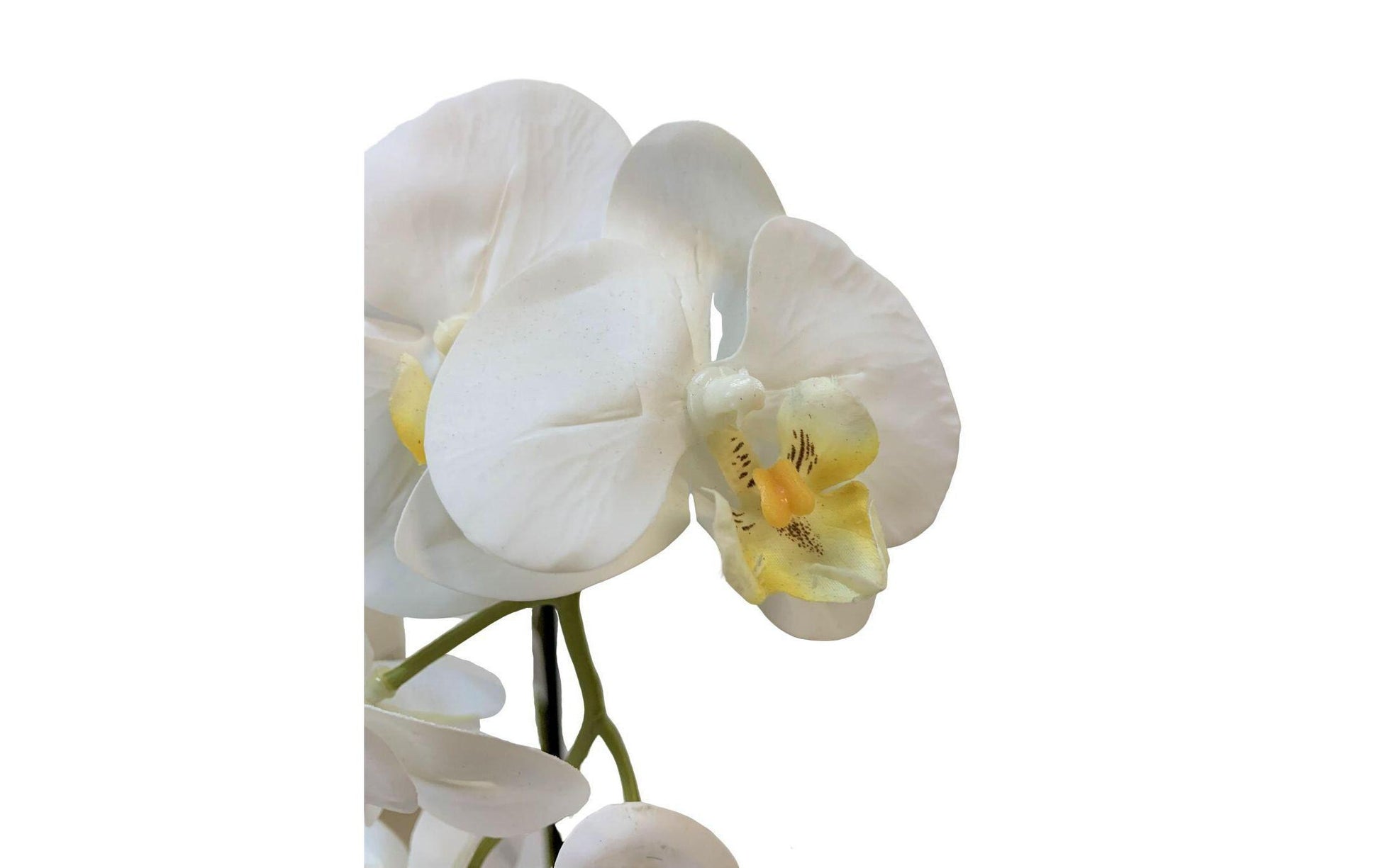 Botanic-Haus Phalaenopsis Topfpflanze – 67 cm – Polyester, weiss