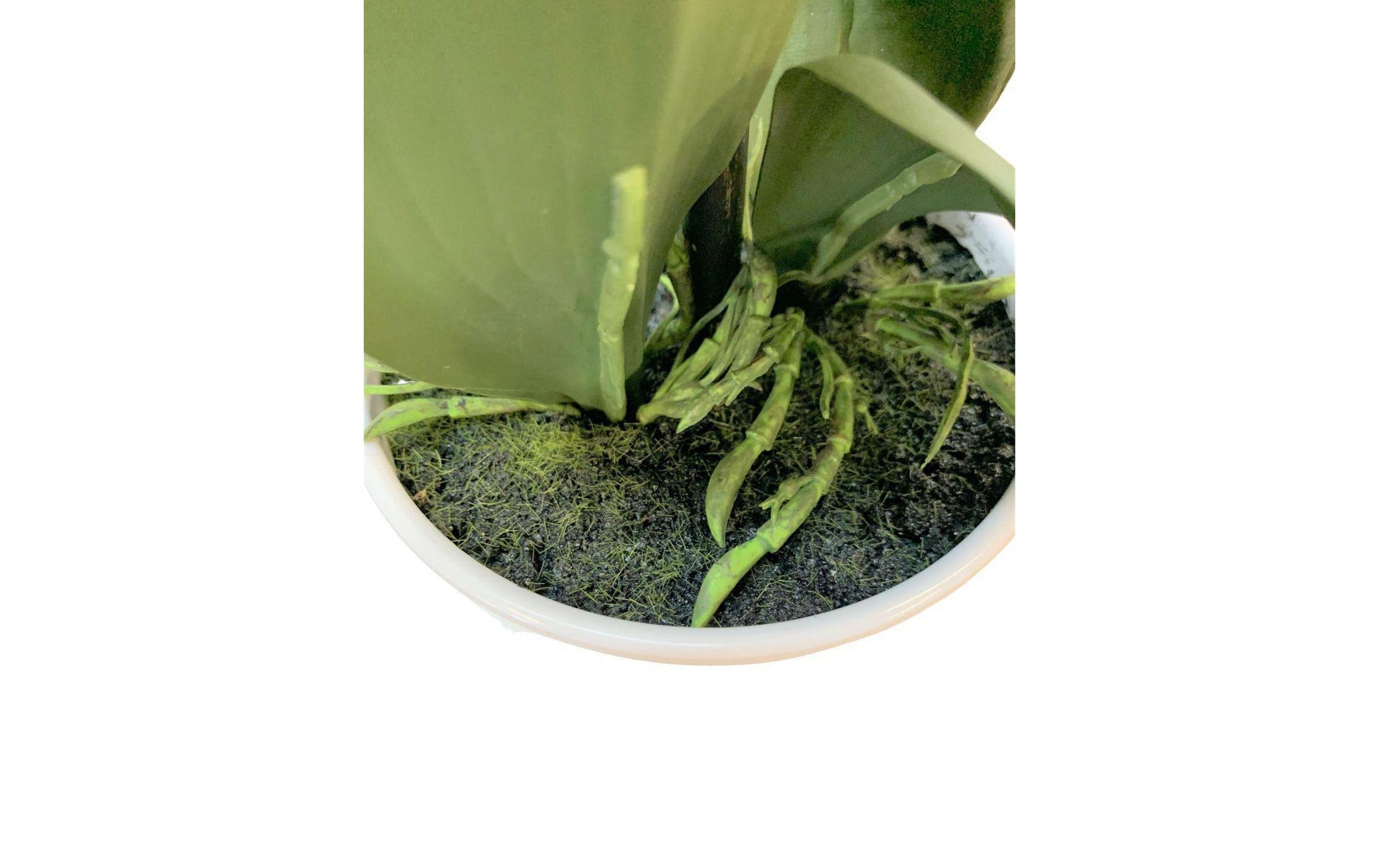 Botanic-Haus Phalaenopsis Topfpflanze – 67 cm – Polyester, weiss