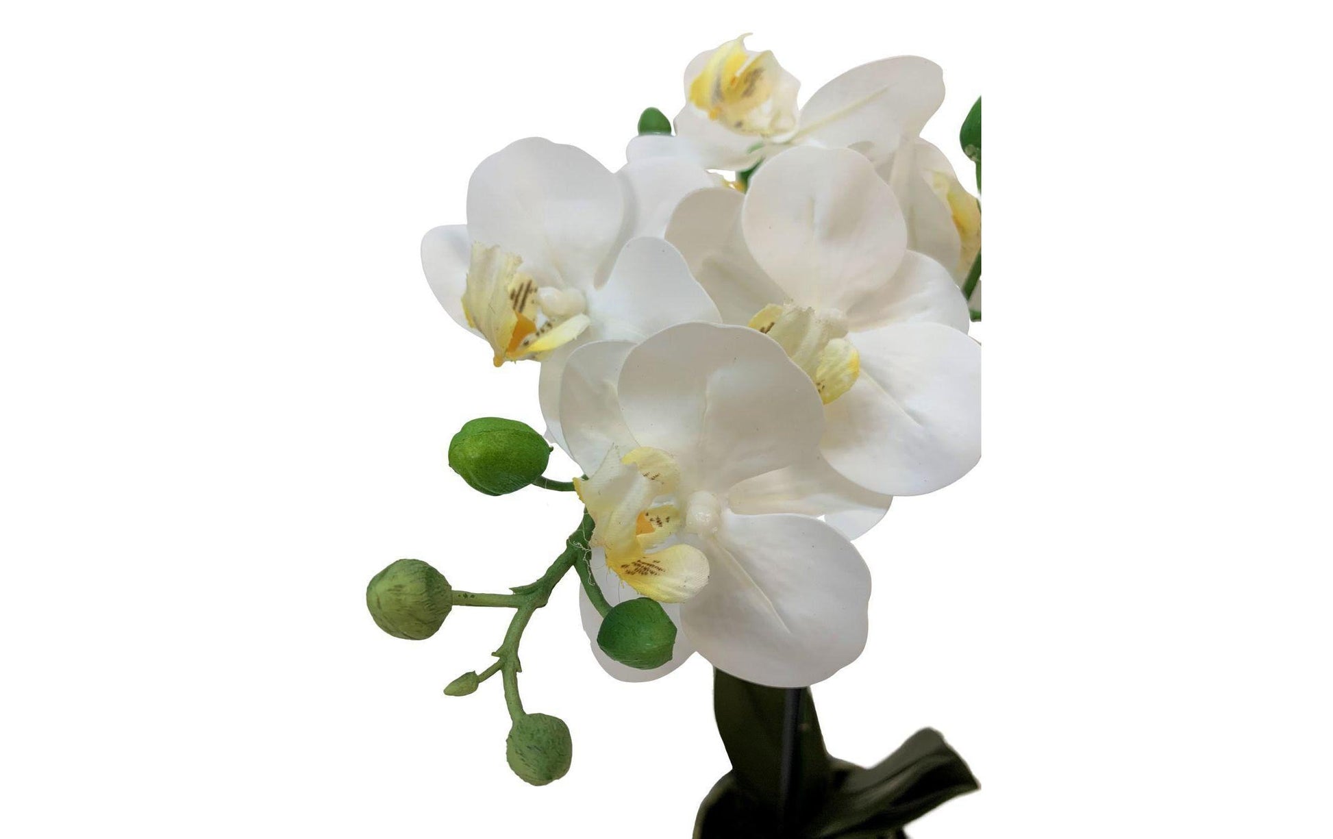 Botanic-Haus Phalaenopsis Topfpflanze – 67 cm – Polyester, weiss