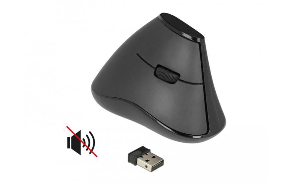DeLOCK 12622 – Vertikale Maus – Kabellos (2,4 GHz), Rechts, Schwarz