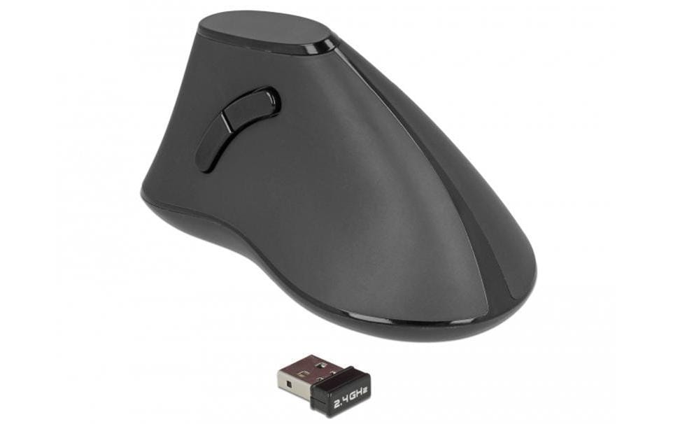 DeLOCK 12622 – Vertikale Maus – Kabellos (2,4 GHz), Rechts, Schwarz
