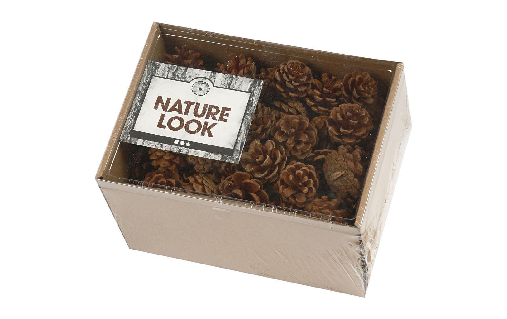 Creativ Company Tannenzapfen, Kiefer, Braun, Ø 4 cm, 500 g, 60 Stk., 50226