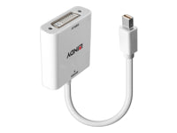 Lindy Mini DisplayPort auf DVI Adapter