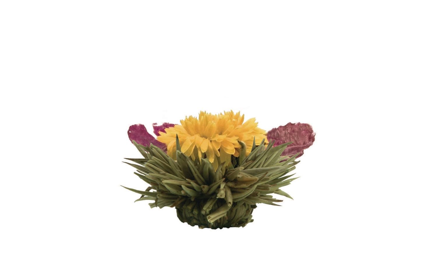 Creano Erblühtee Weisstee – 6 Teeblumen – Geschenkset