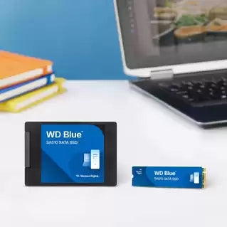 Western Digital Blue SA510 – 250 GB SSD, für M.2 2280 (SATA)