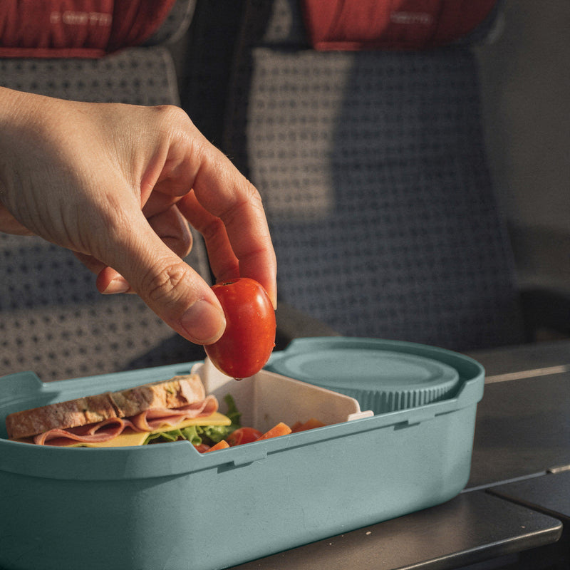 SIGG Lunchbox 1 l, 12,5 × 25 × 6 cm, Polypropylen (PP), 2 Fächer, blau