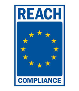 ASUS PM1503CDA-S70239X Laptop – Wi‑Fi, Ethernet, Bluetooth – Netzstrom 100–240 V – 359,5 × 232,2 × 19,9 mm