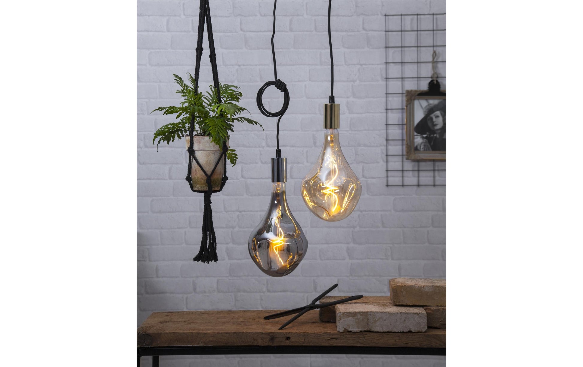Star Trading Leuchtmittel E27 A165 – Warmweiss 2000 K, 220 lm, 3,8 W, dimmbar – IP44 – 1 Stk. – Gold, Glas