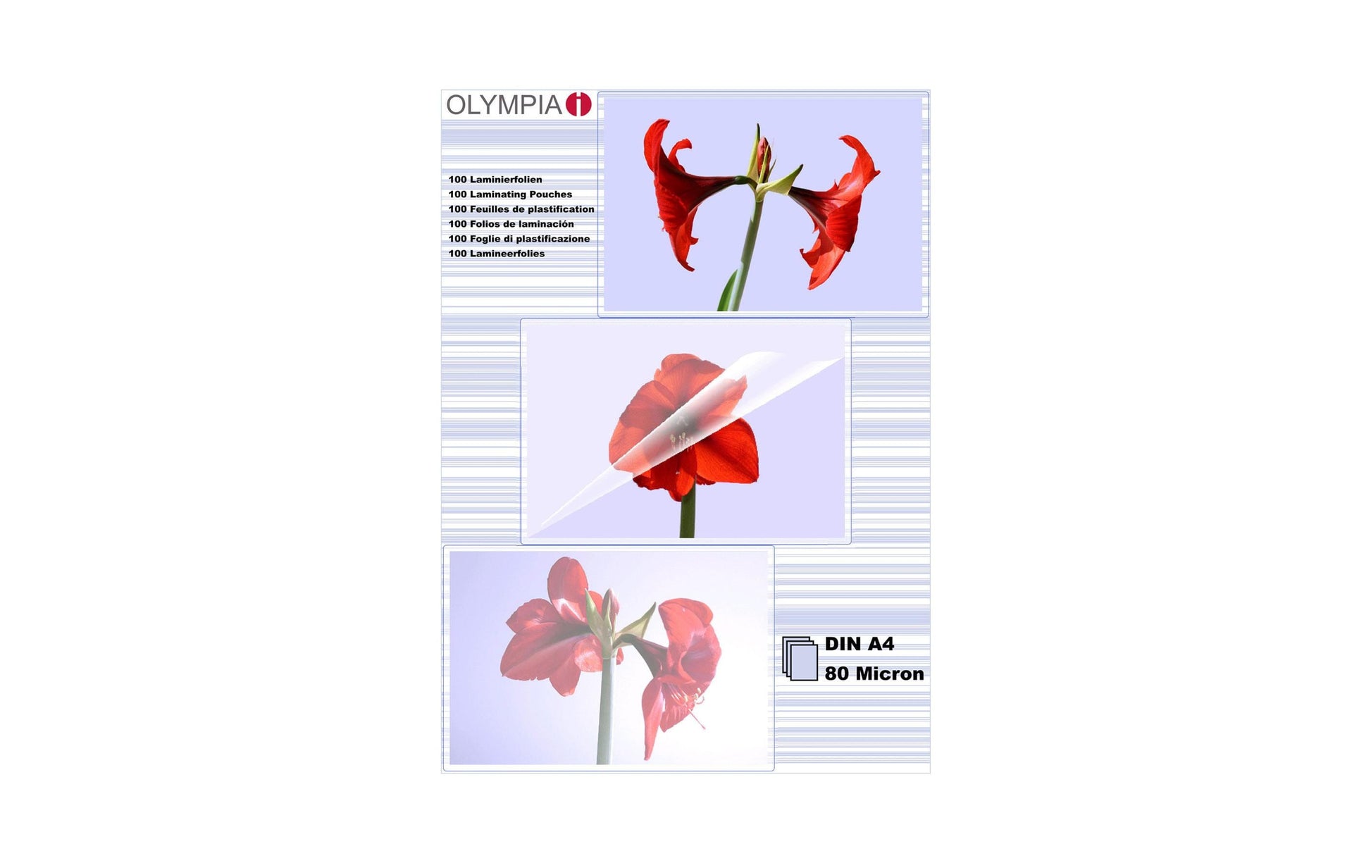 Olympia Laminierfolien A4 – 80 µm, glänzend, 100 Stück
