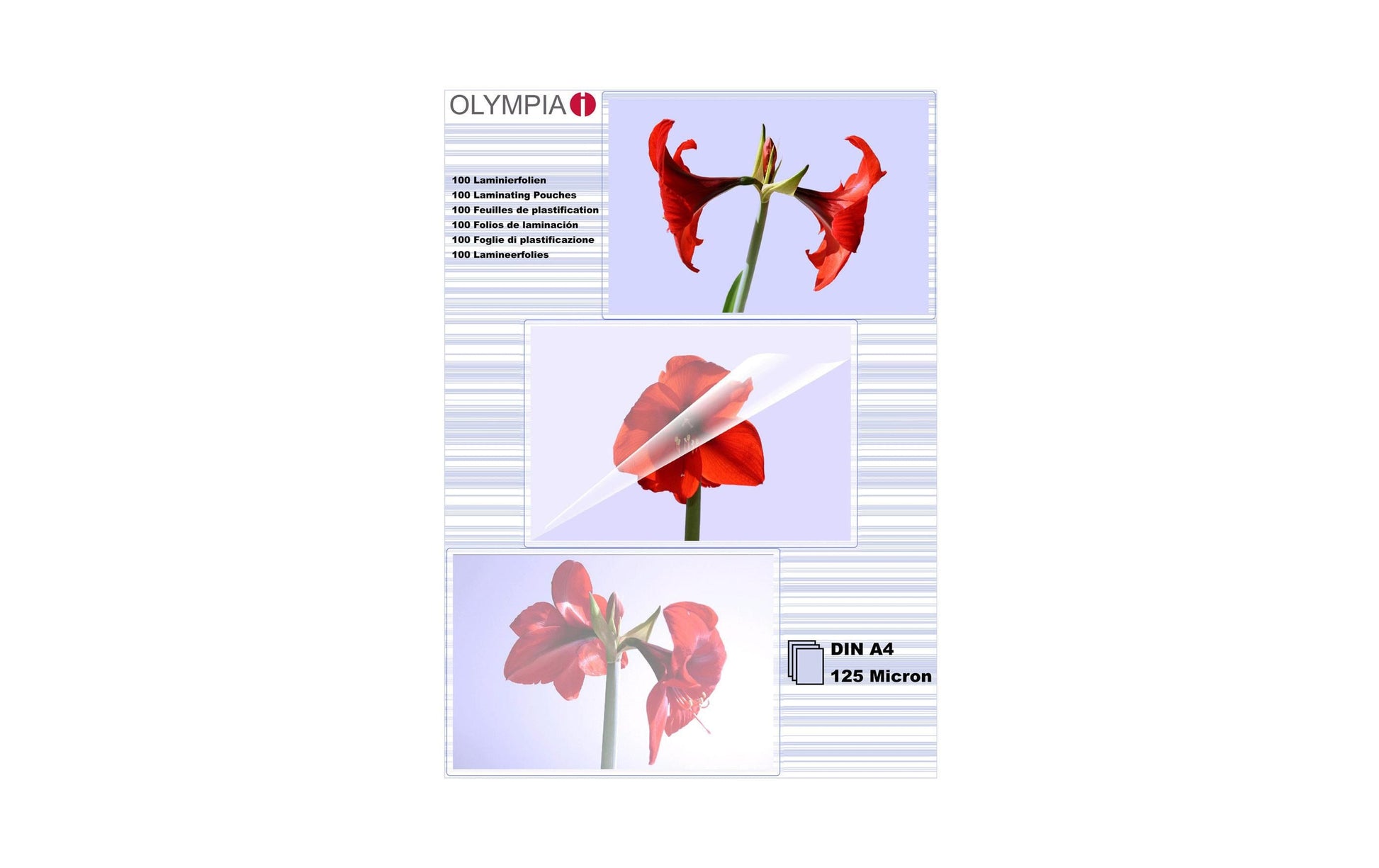 Olympia Laminierfolien A4, glänzend – 125 µm, 100 Stk.