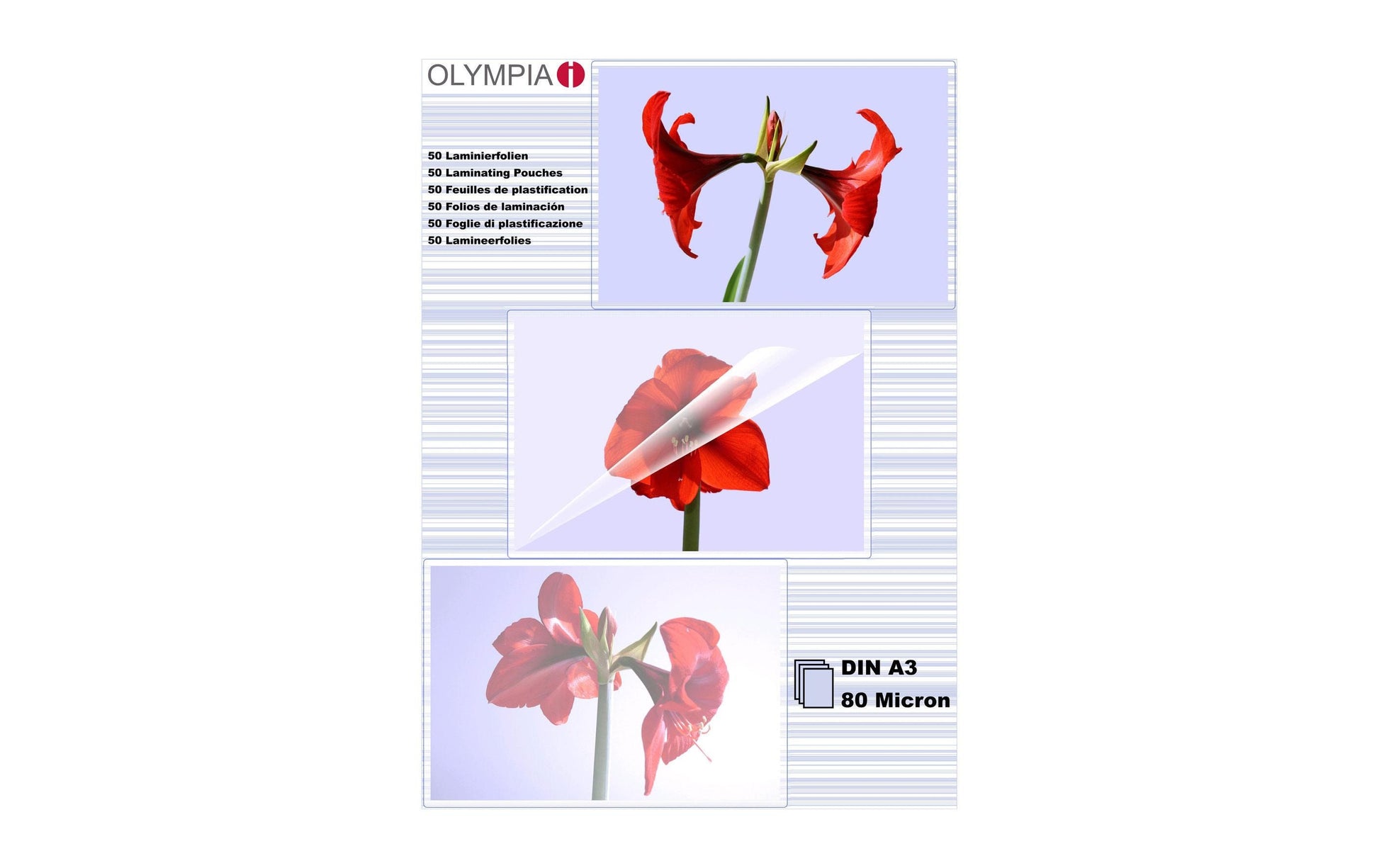 Olympia Laminierfolien A3 – 80 µm, glänzend, 50 Stück