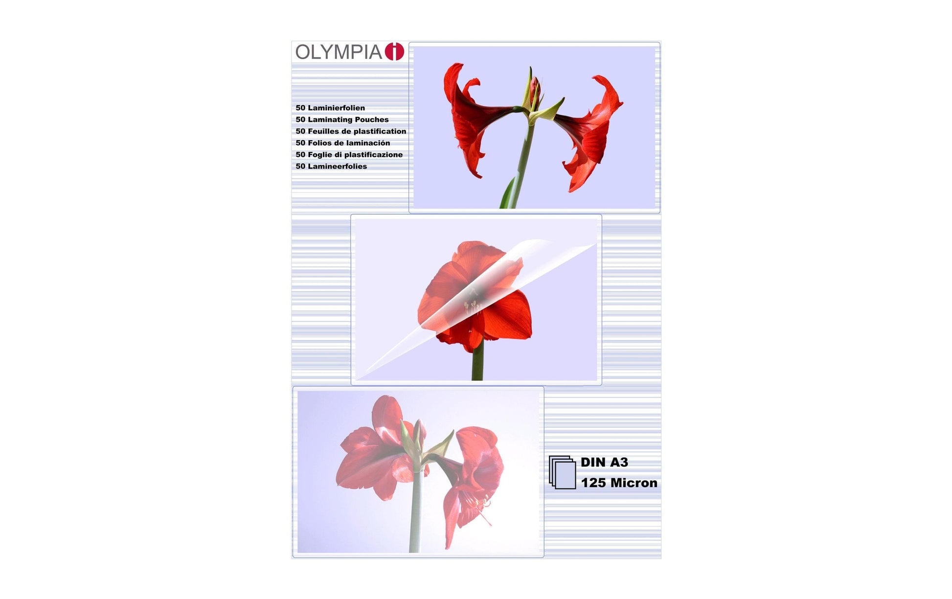 Olympia Laminierfolien A3 – 125 µm, glänzend, 50 Stück