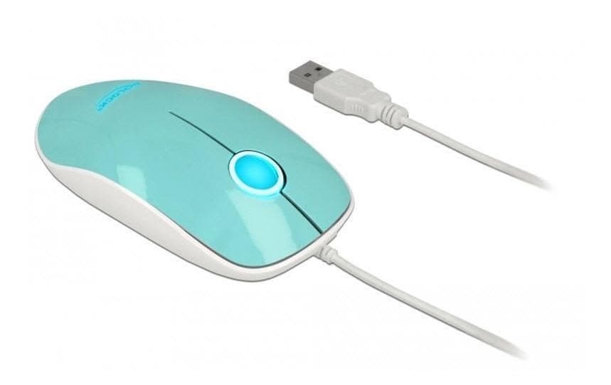 DeLOCK 12538 – Maus – Kabelgebunden (USB‑A), beidhändig, Türkis
