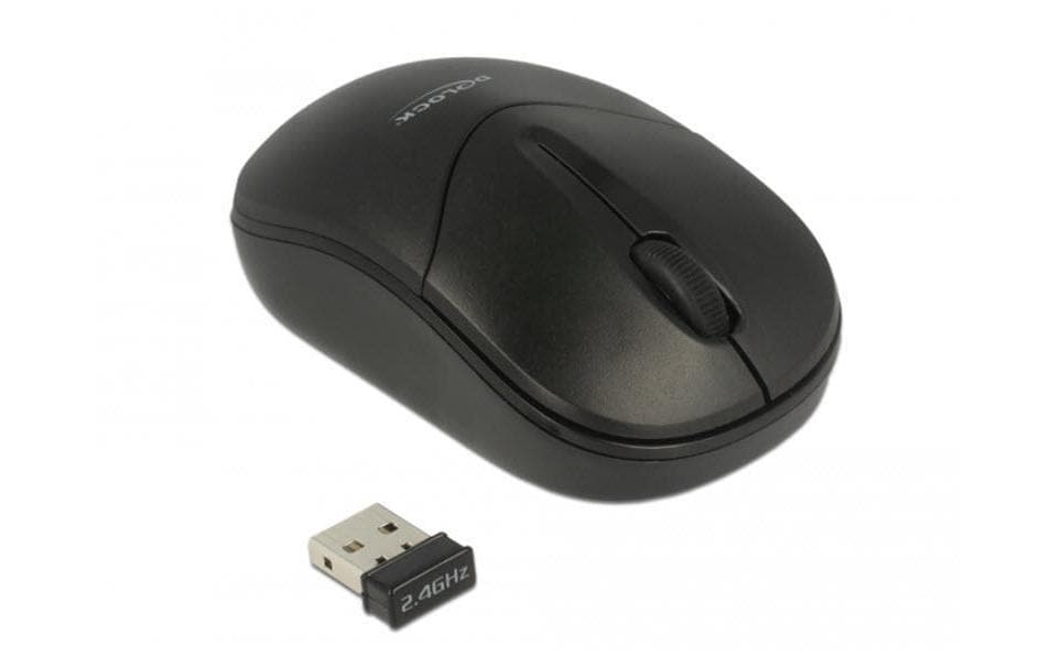 DeLOCK 12494 – Maus – Kabellos (2,4 GHz), beidhändig, Schwarz
