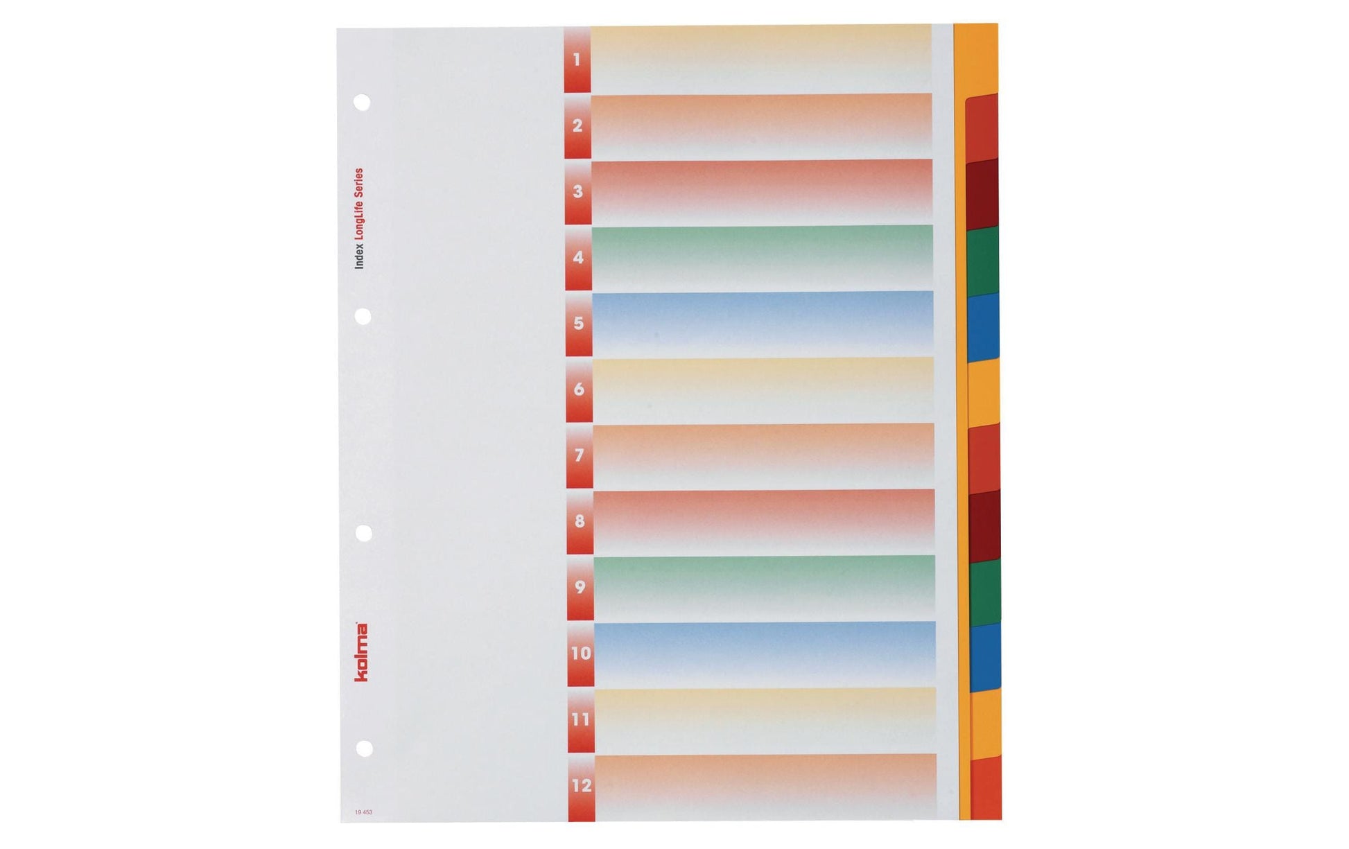 Kolma LongLife XL Register – A4, 12-teilig, PVC, farbig, unbedruckt, Indexblatt, 4-fach gelocht, überbreit