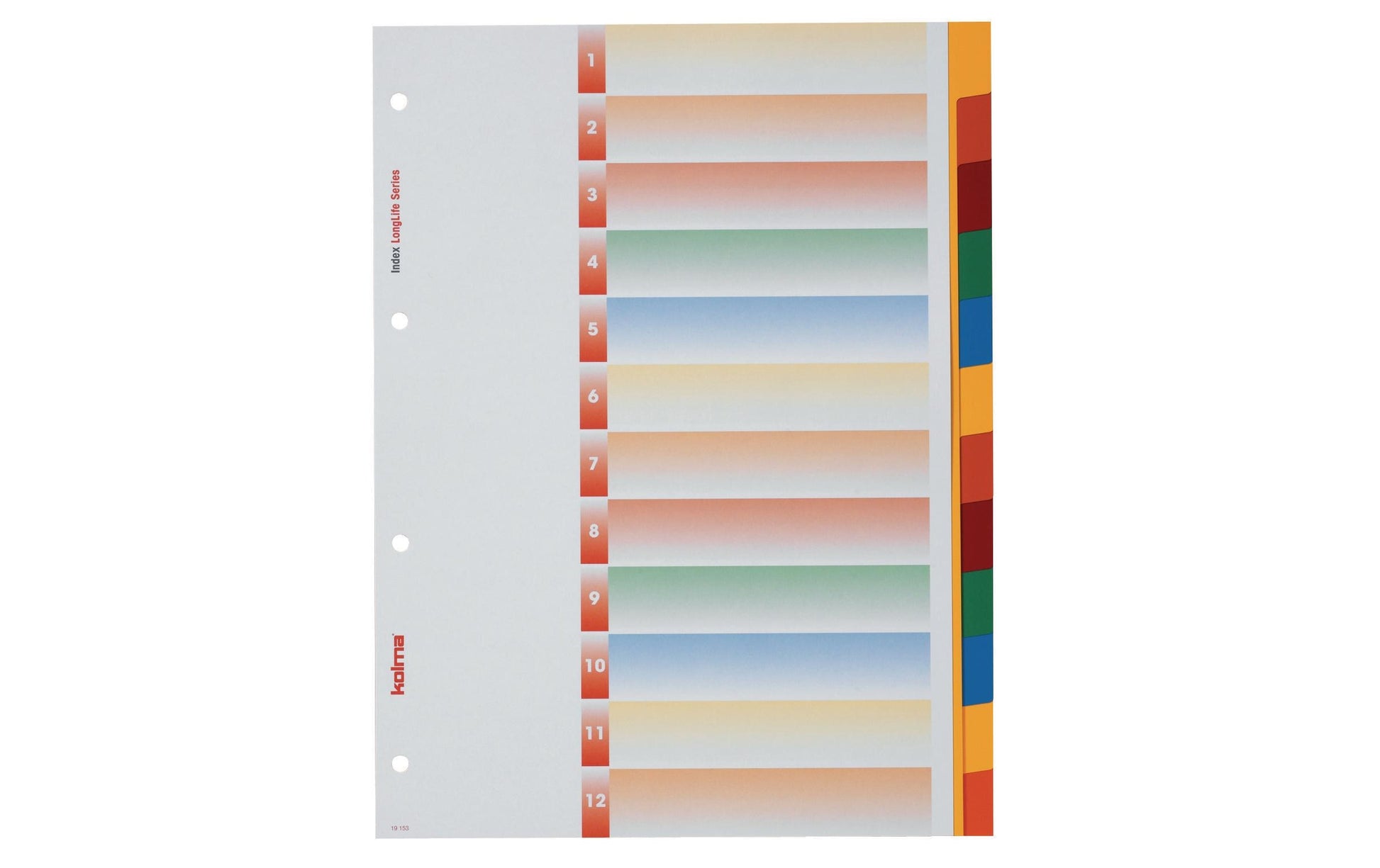 Kolma Register – A4, 12-teilig, PVC, farbig, unbedruckt, mit Indexblatt, 4-fach Lochung