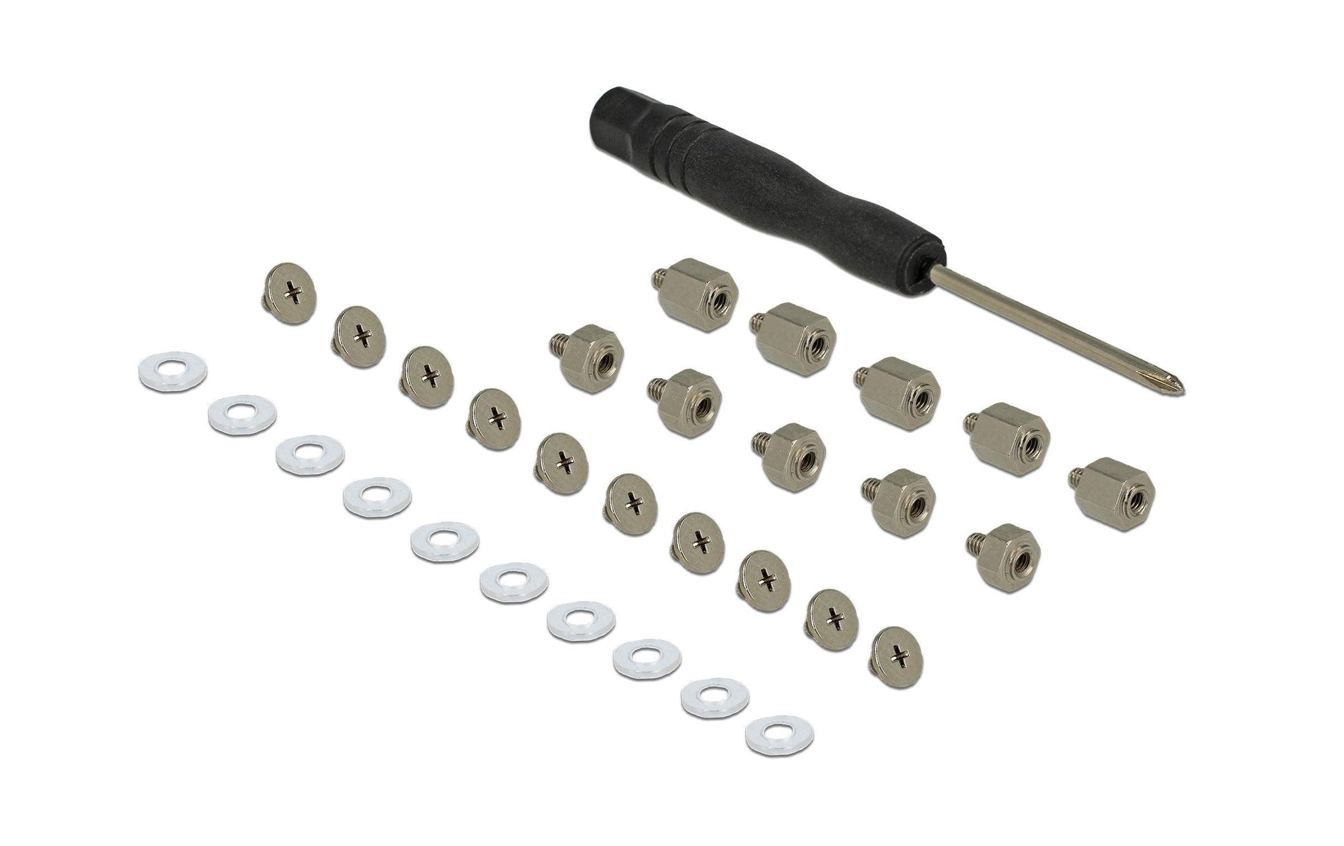 Delock 18288 Schraubenset – für M.2 SSD, Schwarz, Edelstahl, 31-teilig