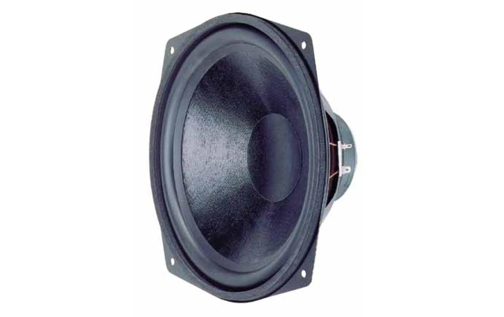 Visaton WS 25 E – Subwoofer – 80 W, 10", Schwarz