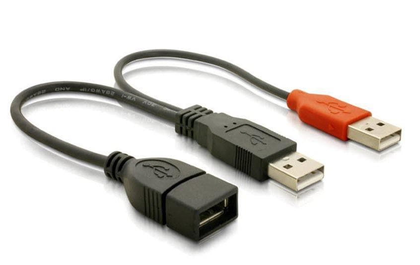 DeLOCK USB-Y-Kabel – USB-A 2× Stecker auf USB-A Buchse – USB 2.0 (480 Mbit/s) – 0,22 m – Schwarz