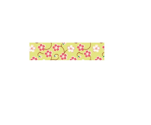 Folia Washi Tape – wiederablösbar, beschriftbar, Papier, 15 mm × 10 m, grüne Blütenranke