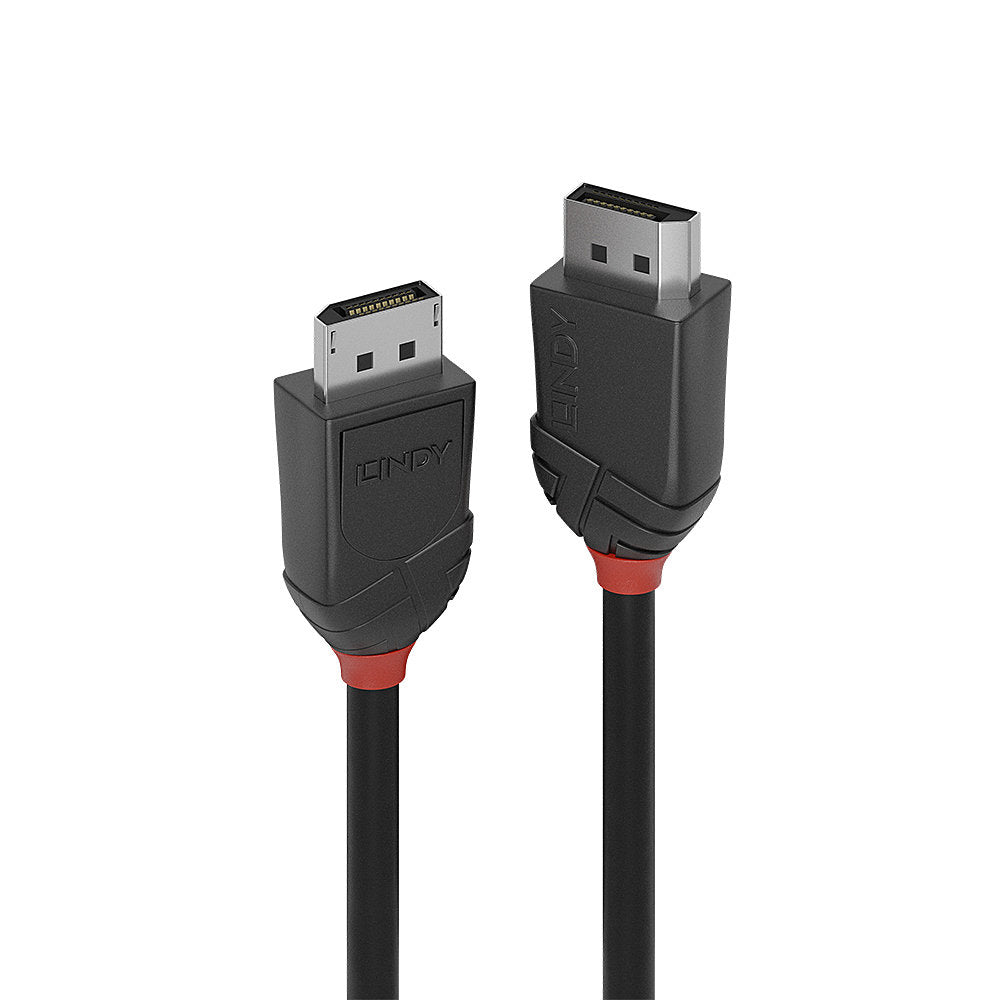 Lindy DisplayPort DP–DP Videokabel – 3 m, schwarz