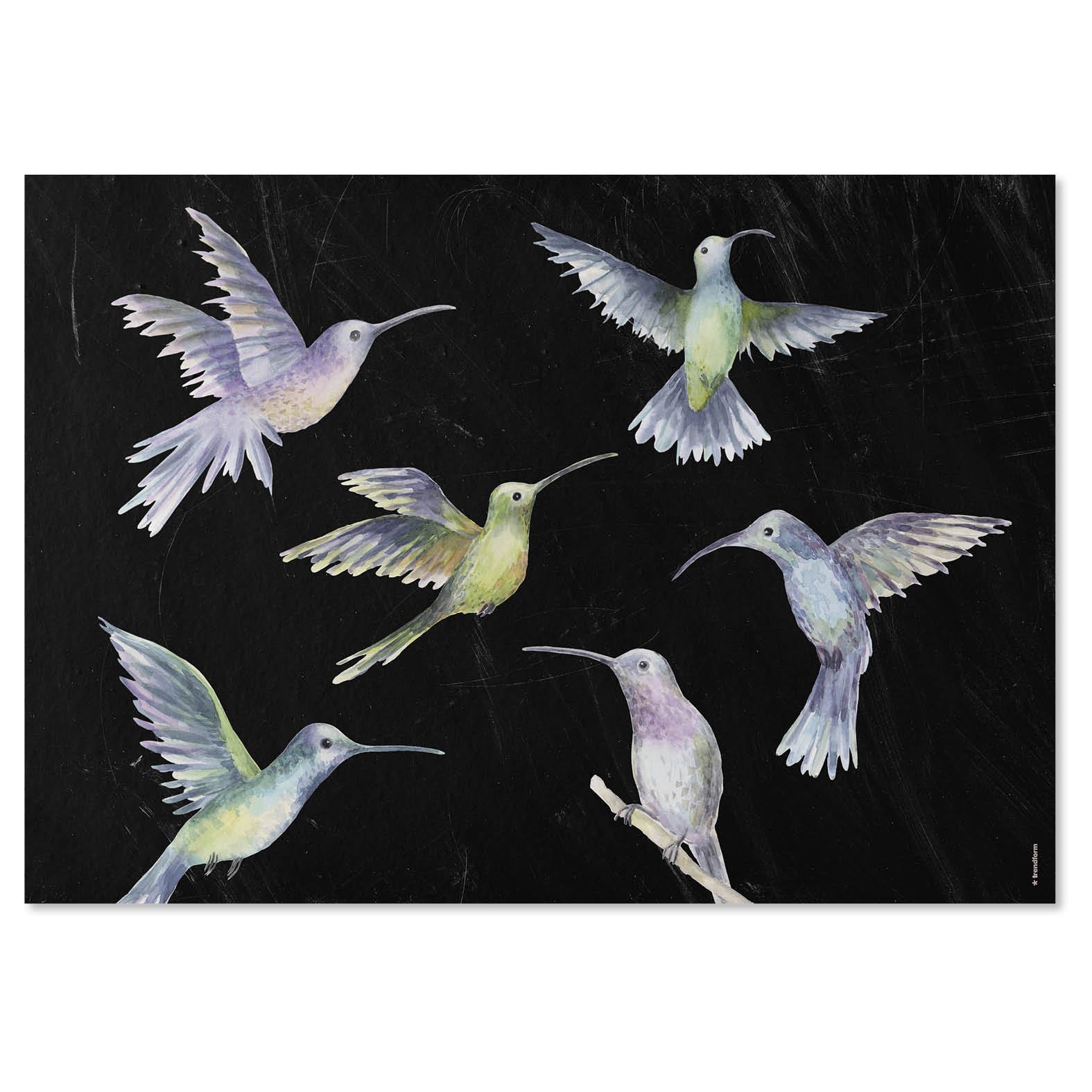 Trendform Tischset Fly Away – Papier, Schmetterlingsmotiv, 42 × 29,7 cm – 48 Stk.