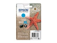 Epson Tintenpatrone C13T03A24010, cyan, 350 Seiten – für Tintenstrahldrucker/Multifunktionsgeräte