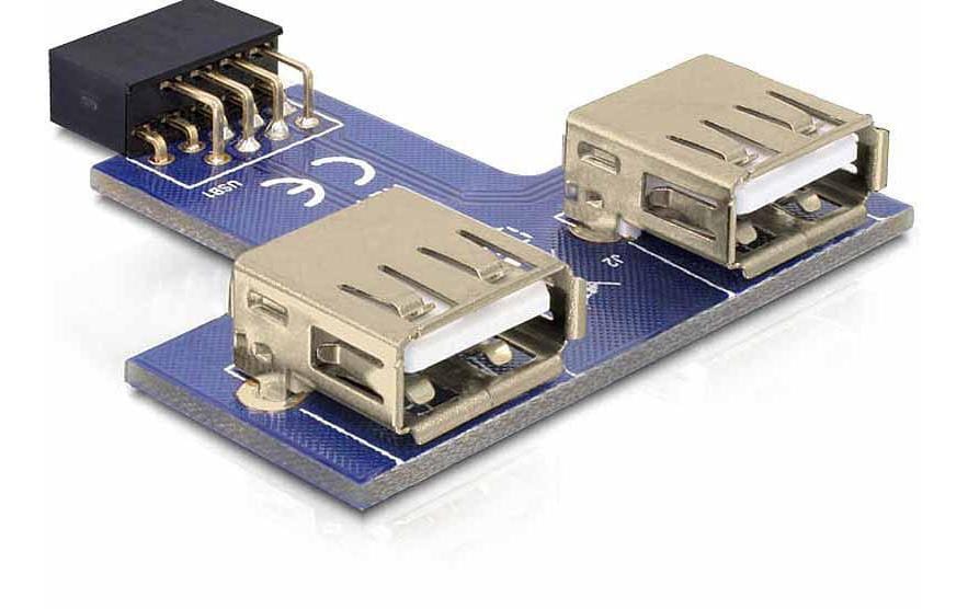 DeLOCK USB-Adapter 9-polig 2,54 mm Buchse auf 2× USB-A Buchse – USB 2.0 (480 Mbit/s) – Grau