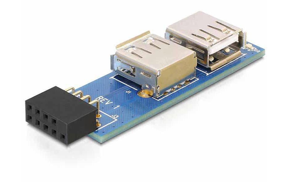 DeLOCK 41820 Adapter USB-Pinheader (9-polig 2,54 mm) zu 2× USB-A – USB 2.0 (480 Mbit/s), Grau