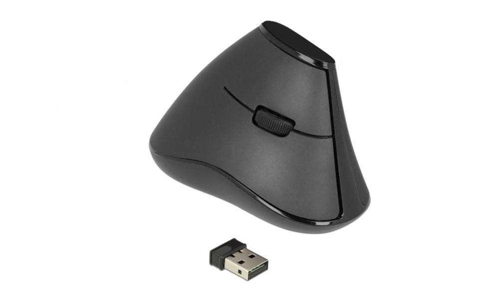DeLOCK 12622 – Vertikale Maus – Kabellos (2,4 GHz), Rechts, Schwarz