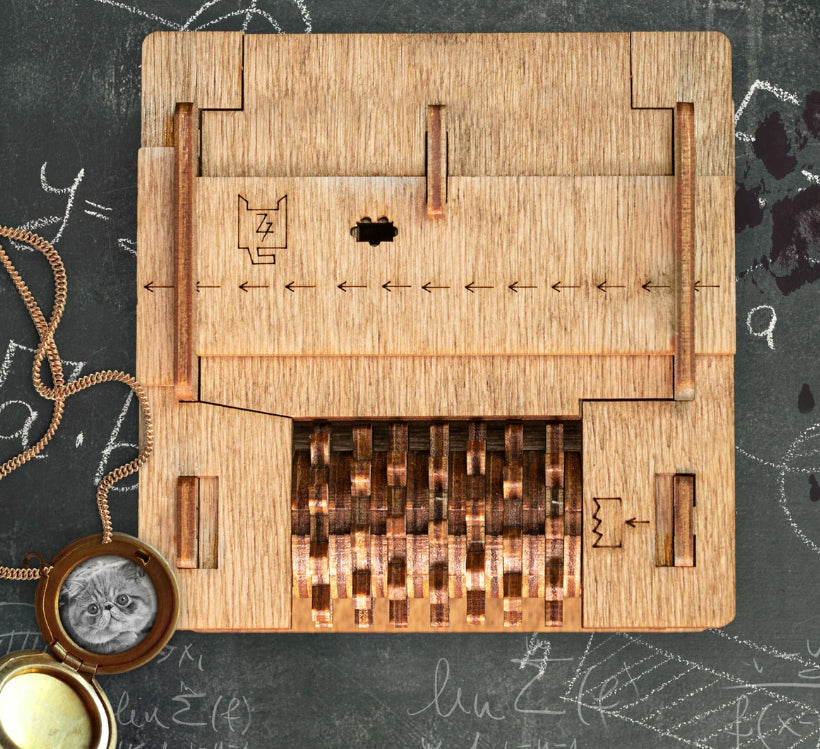 iDventure Cluebox Schrödingers Katze – Knobelbox, 1–2 Spieler, ab 14 Jahren, 60 Min., DE