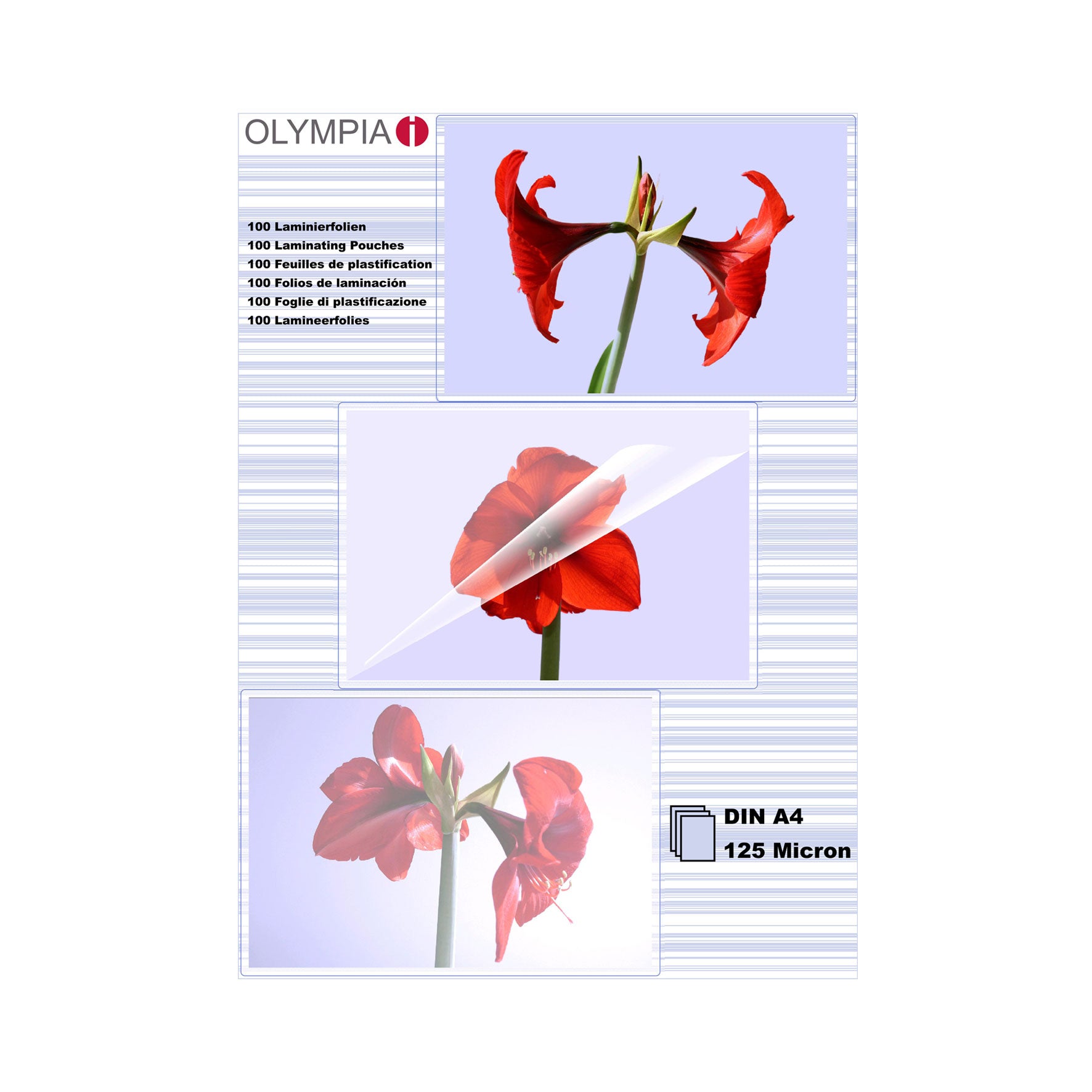 Olympia Laminierfolien A4, glänzend – 125 µm, 100 Stk.