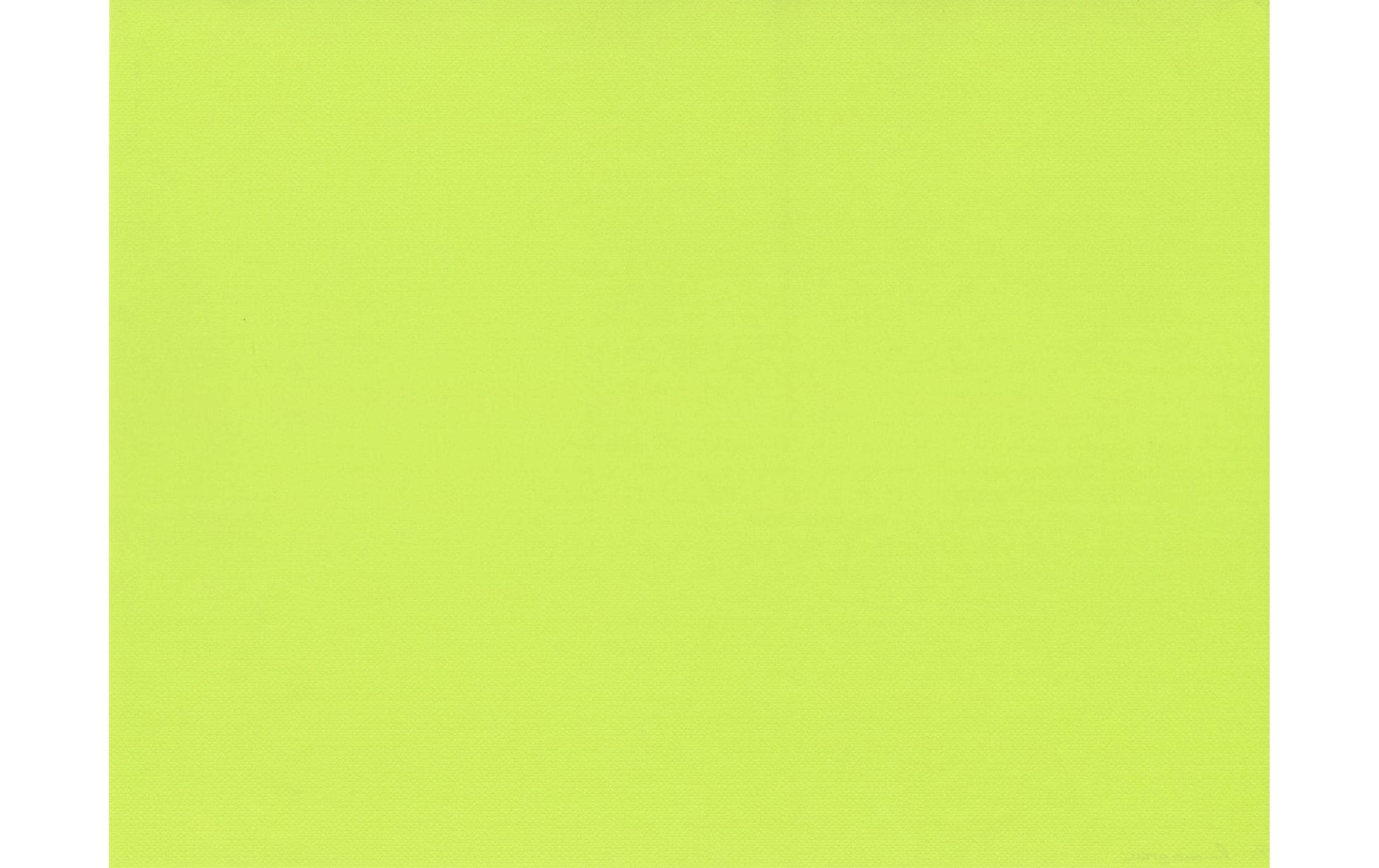 Papstar Tischset, Papier, rechteckig, 30 × 40 cm, grün – 100 Stk.
