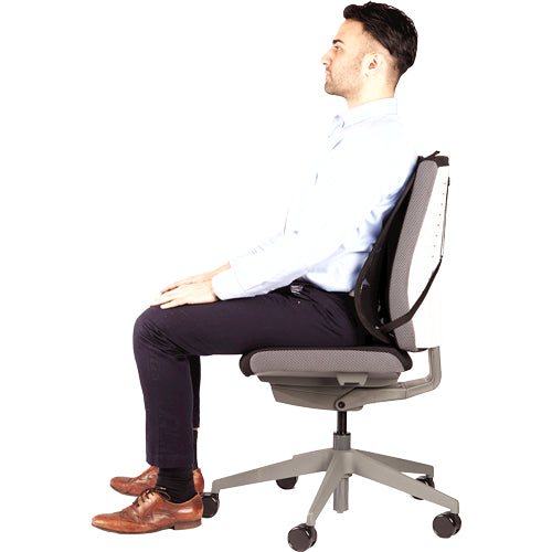 Fellowes Rückenstütze Netz Professional Series – 30,3×37×19,5 cm, schwarz