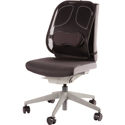 Fellowes Rückenstütze Netz Professional Series – 30,3×37×19,5 cm, schwarz