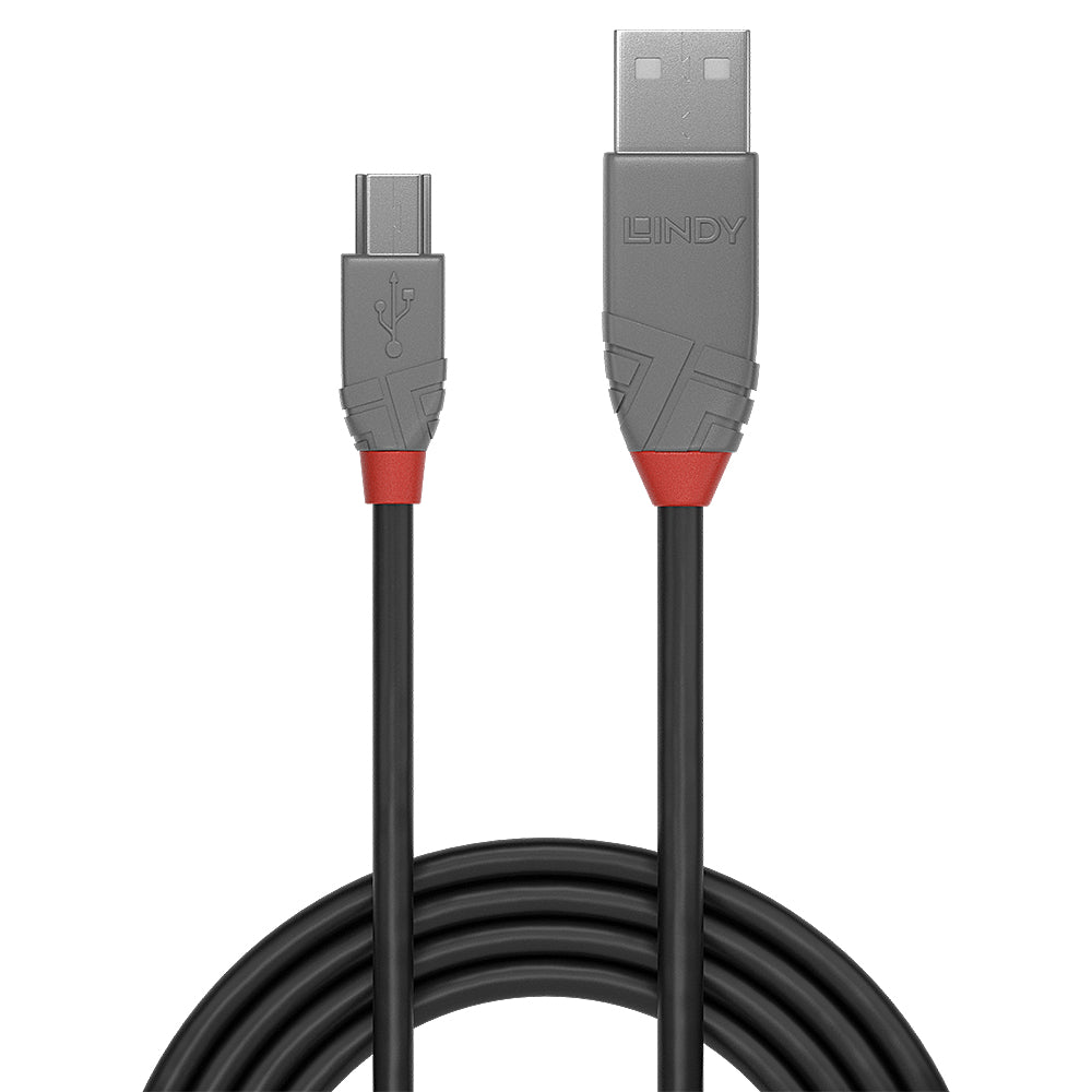 Lindy USB-Kabel, USB-A zu Mini-USB, 1 m, USB 2.0