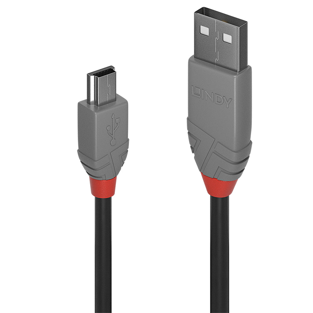Lindy USB-Kabel, USB-A zu Mini-USB, 1 m, USB 2.0