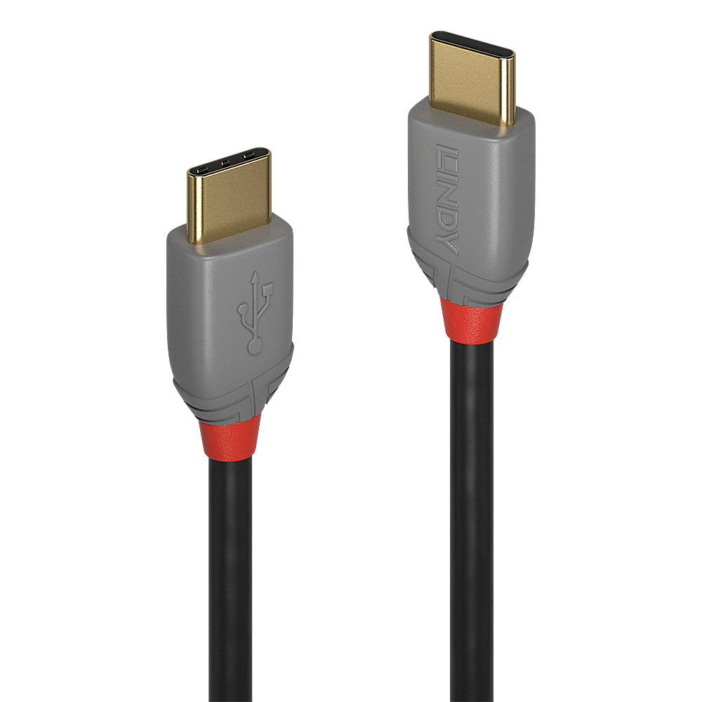 Lindy USB-Kabel, USB-C zu USB-C, 2 m, USB 2.0
