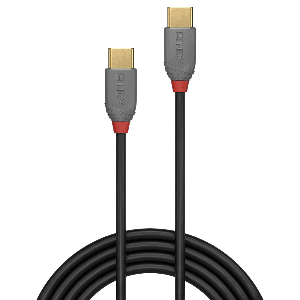 Lindy USB-Kabel, USB-C zu USB-C, 2 m, USB 2.0