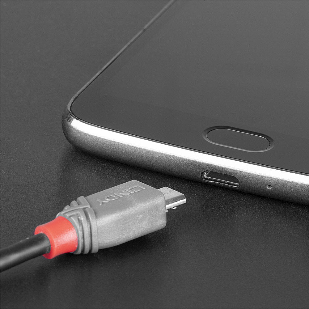 Lindy USB-Kabel, USB-C zu Micro-USB, 0,5 m, USB 2.0