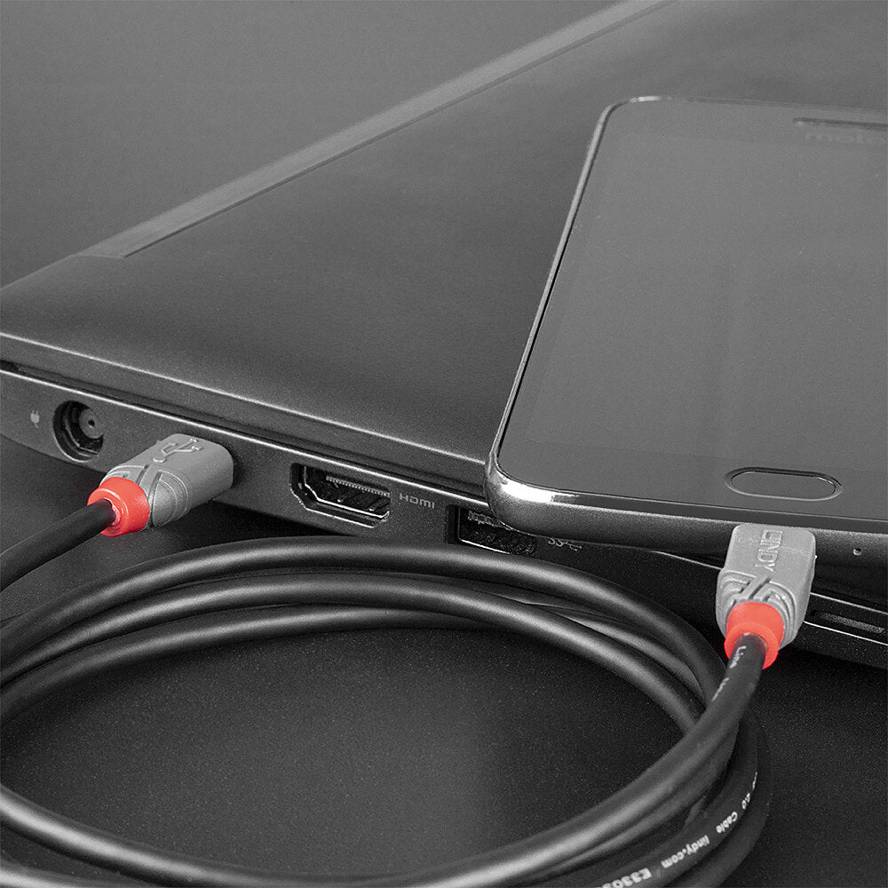 Lindy USB-Kabel, USB-C zu Micro-USB, 1,5 m, USB 2.0